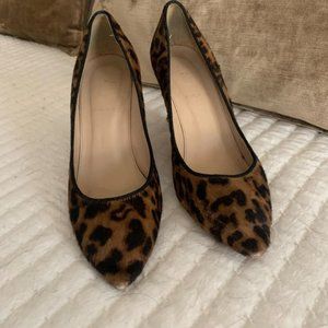J Crew Elsie Pumps In Leopard Calf Hair K7890